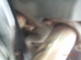 RIMG0333.JPG
