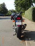 RIMG0335.JPG